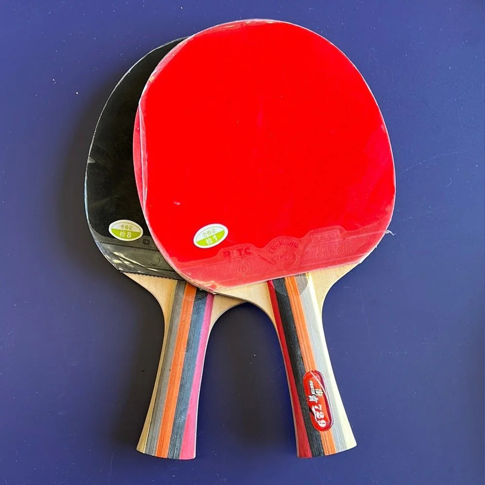 729 street fighter 5 bat double pips in Table Tennis Rubber